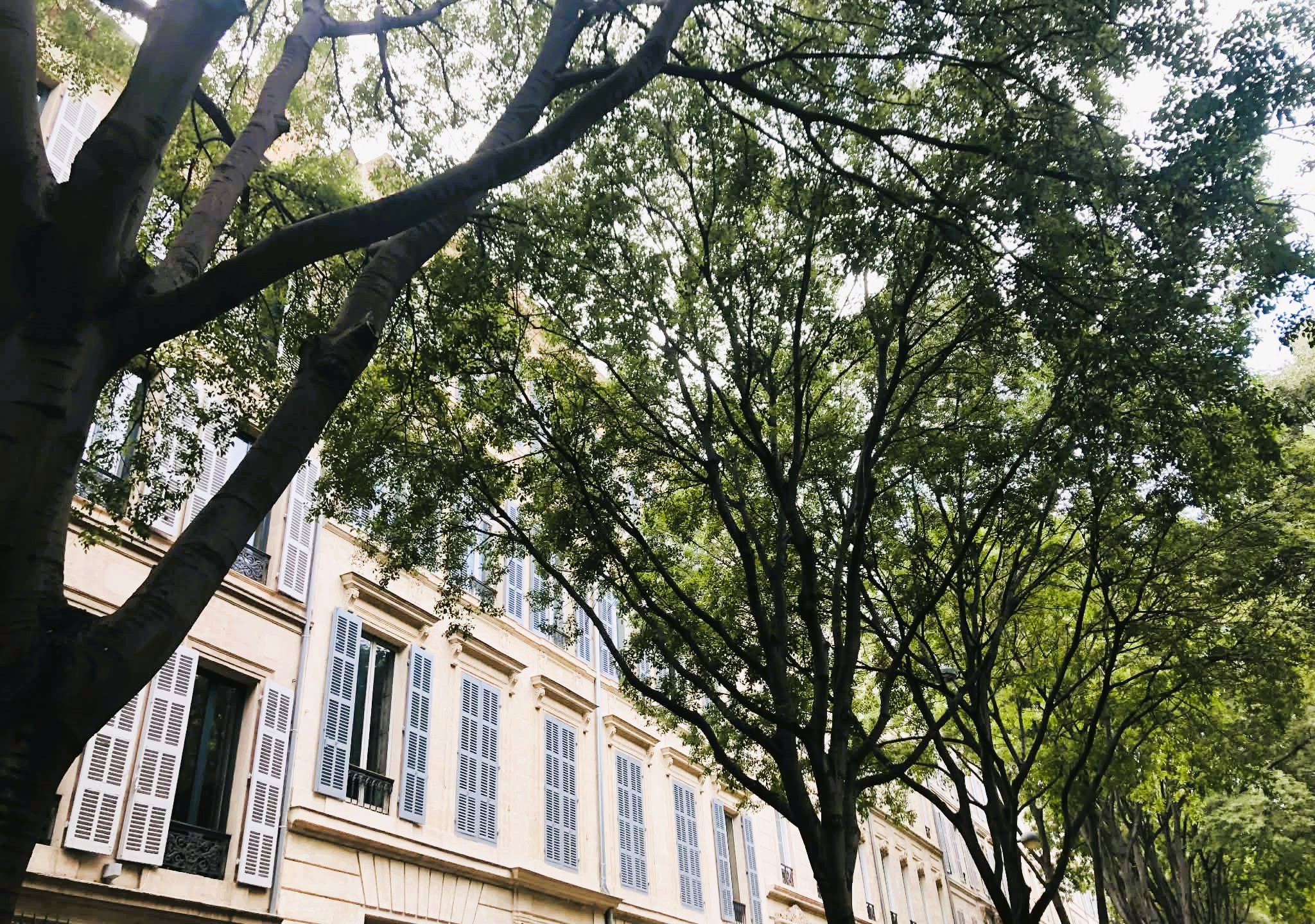 Marseille, cours ombragées